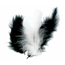 Plumes assorties noir blanc 10 cm x 50 pcs