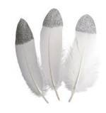 PLUMES BOUT ARGENT 4X19CM X4