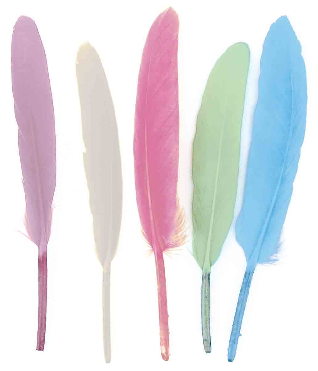 PLUMES indiennes pastel 7 à 15 cm x 120 pcs