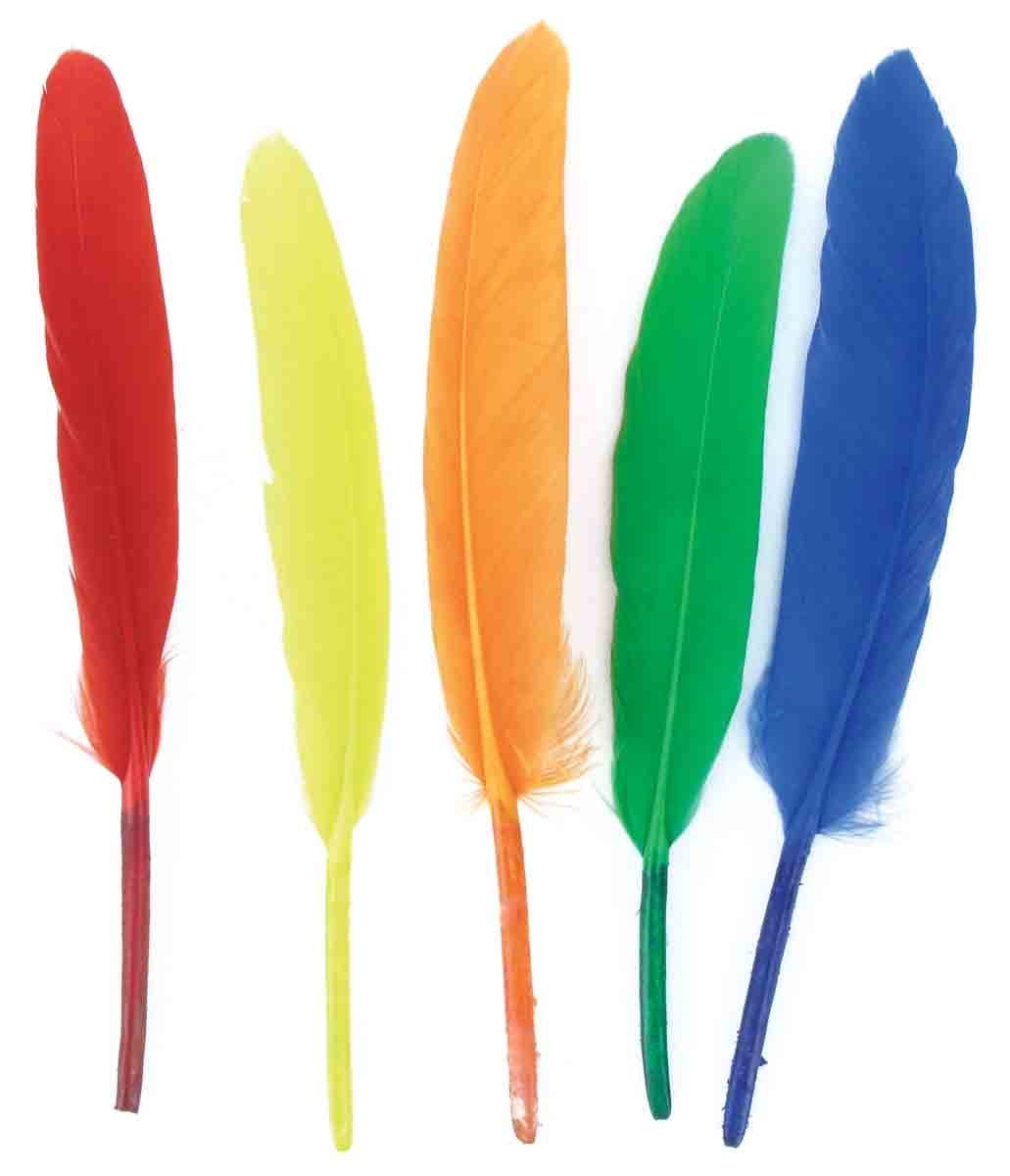 PLUMES indiennes multicolores 7 à 15 cm x 120 pcs